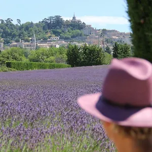 la-maison-de-nanouche.fr-provencehotel.com/